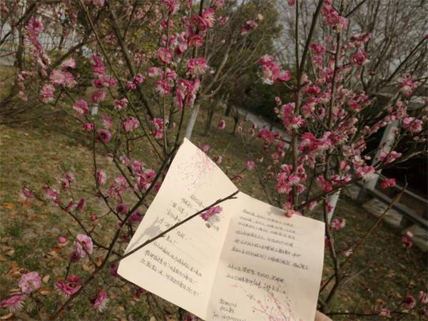 26AFAA0B19632C373EBF279010AE28B7(1).jpg 26AFAA0B19632C373EBF279010AE28B7(1).jpg