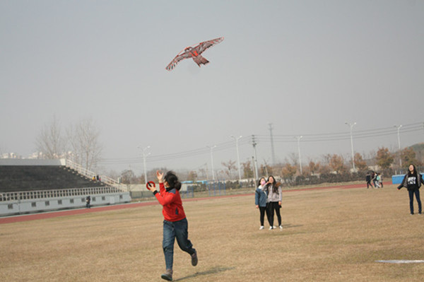 2016030276591593.jpg 2016030276591593.jpg