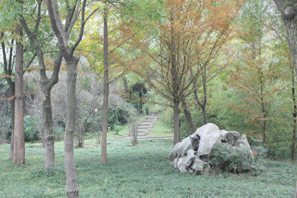 FC58571EC597E97039872537A9C030C7.jpg FC58571EC597E97039872537A9C030C7.jpg