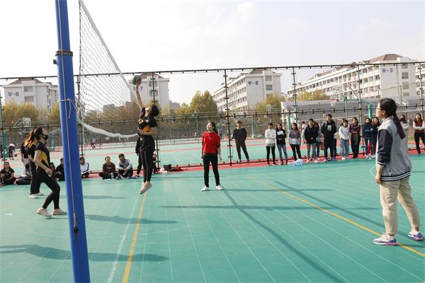 11月14日 女子排球比赛 张舒婷 秦润东 (11).JPG 11月14日 女子排球比赛 张舒婷 秦润东 (11).JPG